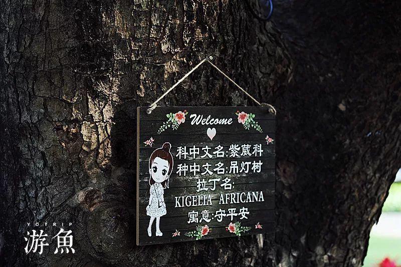 专业问答平台通过相亲的方式结婚能获得爱情吗?,解答您的疑惑